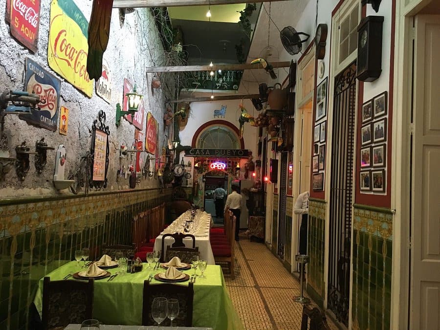 noma san cristobal paladar 5
