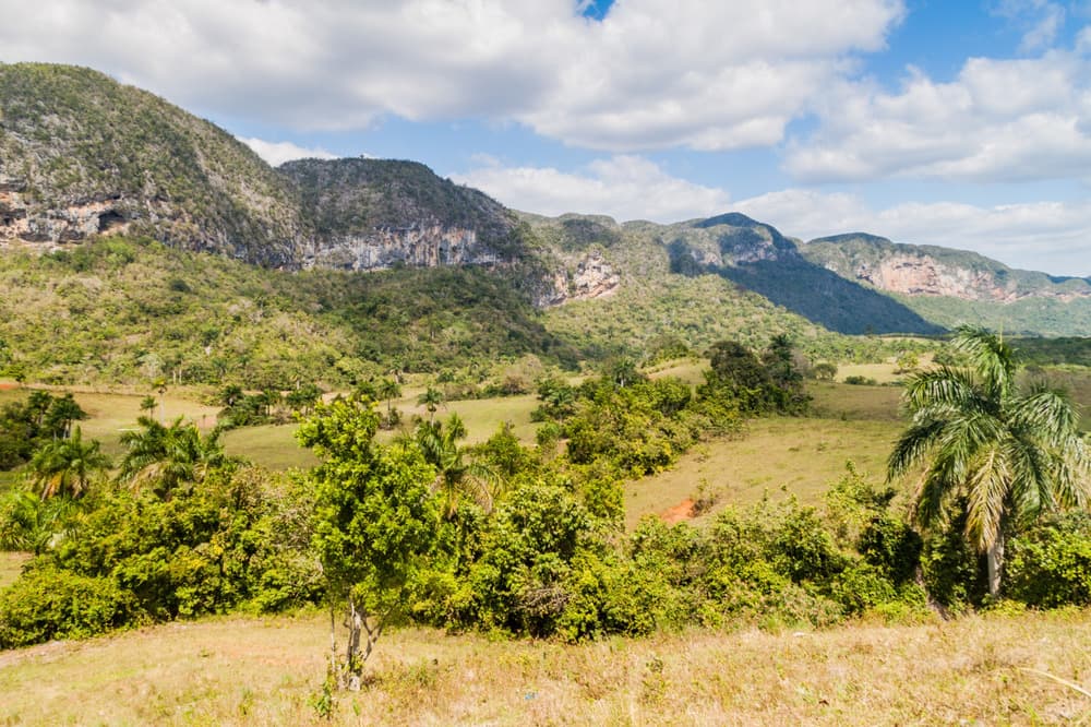 shutterstock 780276706 guasasa