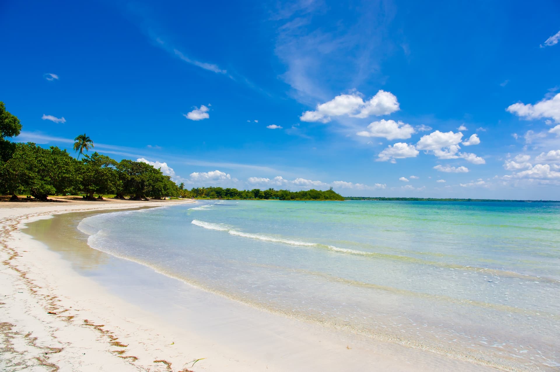 Bay of Pigs