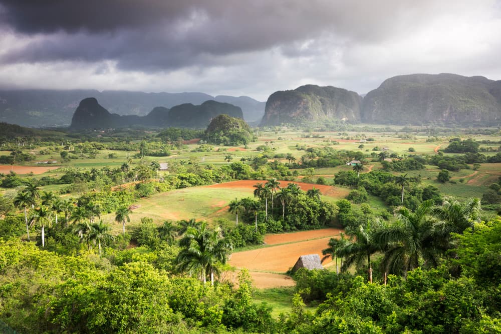 What to Do and See in Viñales?