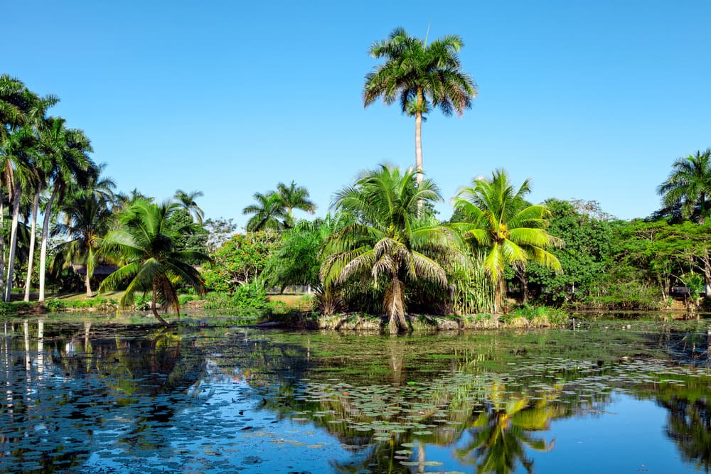 Ciénaga de Zapata